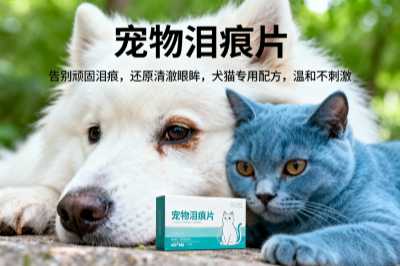 宠物泪痕片批发月销量排行榜