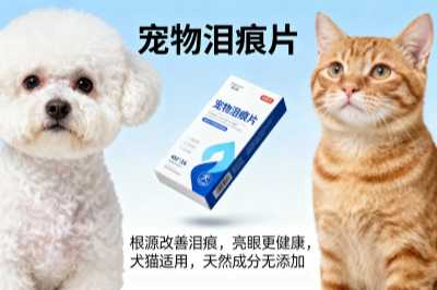 宠物店泪痕片客户维护方法