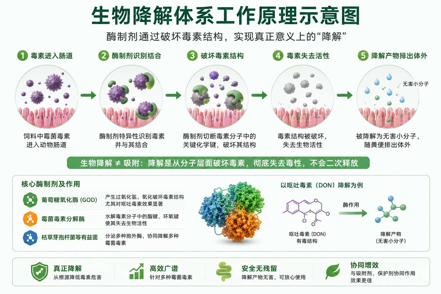 插图2.png