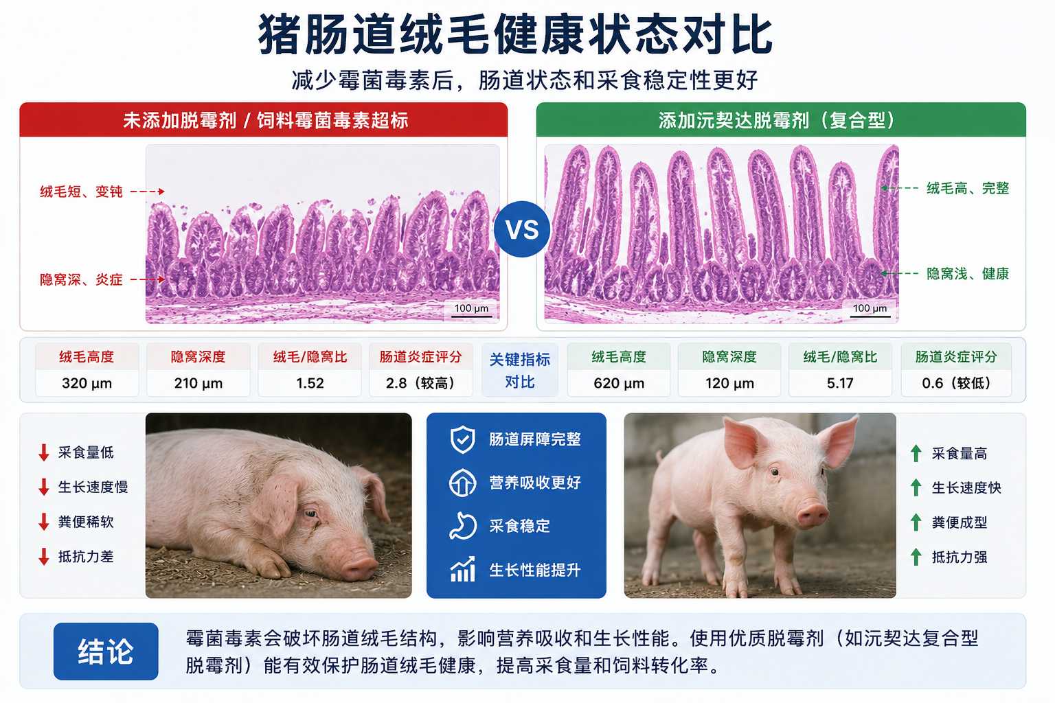 插图3.png